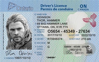 Real Canadian driving license for sale