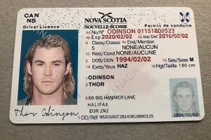 Canadian driving license for sale