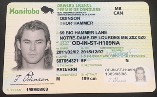 Fake Canadian driving license for sale