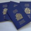 Real Iceland passport for sale