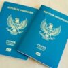 Indonesian passports for sale