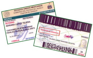 Buy real Mexican license online