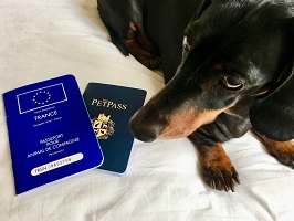 Buy genuine pet passports in California
